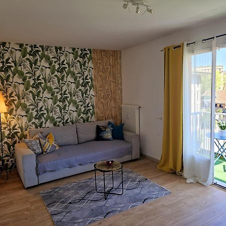 Paradise Apartment Near Downtown Lake & Free Parking - Local Bike Annecy Buitenkant foto